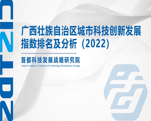 黄片试看10分钟【成果发布】广西壮族自治区城市科技创新发展指数排名及分析（2022）